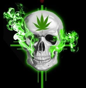 Meet your Posher, Norman